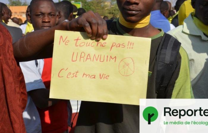 Niger erlaubt Frankreich nicht mehr, sein Uran auszubeuten