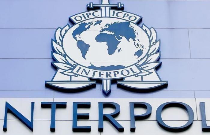 219 Personen wurden von Interpol festgenommen