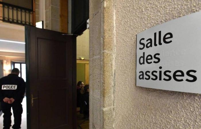 Straßburg. Eine Tagesmutter vor Gericht, der vorgeworfen wird, ein Baby zu Tode geschüttelt zu haben