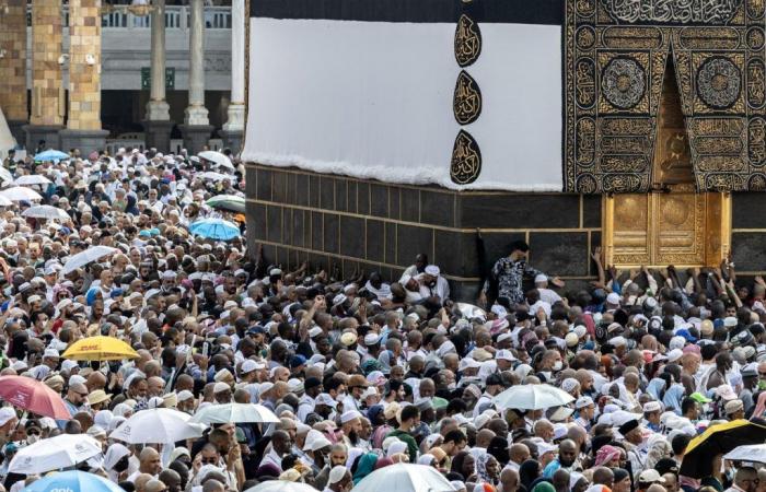 In Ägypten löst der Tod Hunderter Pilger in Mekka einen Skandal aus