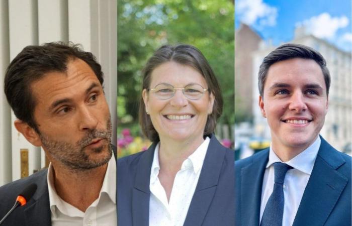Parlamentswahlen 2024: Mehrheit im 1. Wahlkreis Seine-et-Marne in Gefahr?