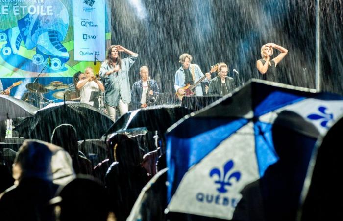 Nationalfeiertag: Musikalischer Regen fällt auf Woodyatt Park