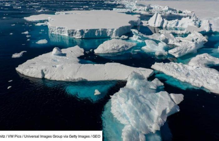 Die Antarktis steuert auf ein „unkontrolliertes Abschmelzen“ ihrer Eiskappen zu, warnen Wissenschaftler