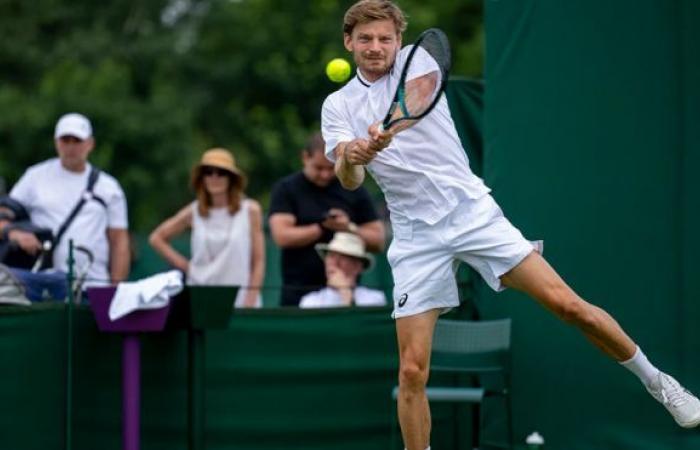 Tennis. Wimbledon (Q) – David Goffin: „Ich möchte, dass meine Enkelin mich spielen sieht…“
