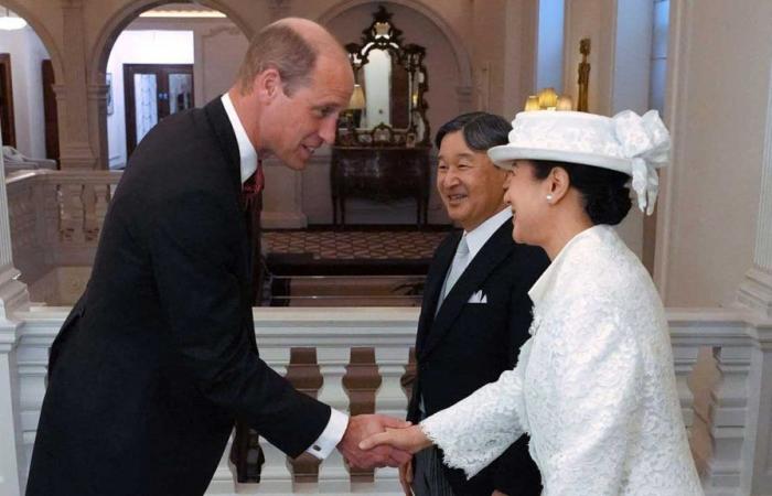 Der Prinz von Wales hat das Privileg, Kaiser Naruhito zu begrüßen