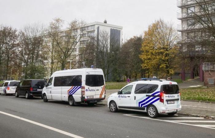 Eine mit Marseille verbundene kriminelle Organisation wurde nach einem groß angelegten Polizeieinsatz in Peterbos in Anderlecht aufgelöst