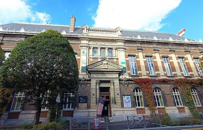 In Lille bleibt das Naturhistorische Museum, das wegen Bauarbeiten geschlossen ist, für Besucher geöffnet … online!
