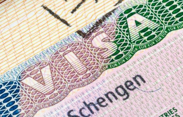 Schengen: Diese Millionen Euro gehen durch abgelehnte Visumanträge verloren