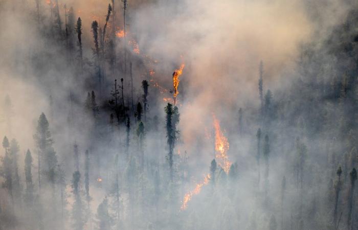 Extreme Waldbrände | Zwei Jahrzehnte lang doppelt so häufig