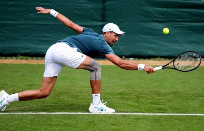 Tennis: „Ich werde nur dann an Wimbledon teilnehmen, wenn ich um den Titel kämpfen kann“, verkündet Djokovic die Farbe, bevor er an Olympia denkt