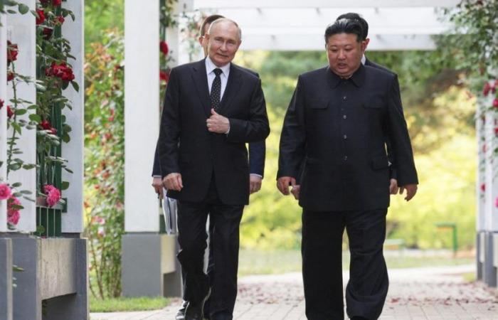 „Das Abkommen zwischen Russland und Nordkorea ist ein weiterer Schritt zur Schaffung der antiwestlichen Front“