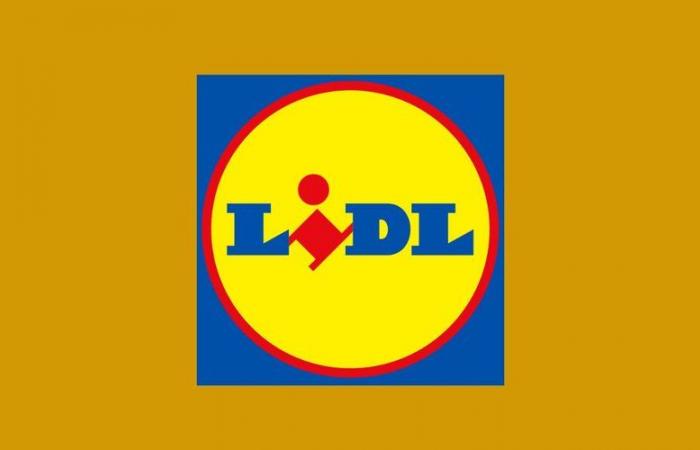 Lidl-Ausverkauf: Diesen Mittwochmorgen gibt es 3 DIY-Produkte zu reduzierten Preisen zu ergattern