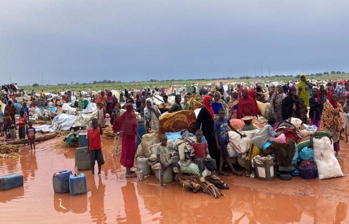 Tschad: UNHCR fordert dringend Unterstützung für den Zustrom sudanesischer Flüchtlinge