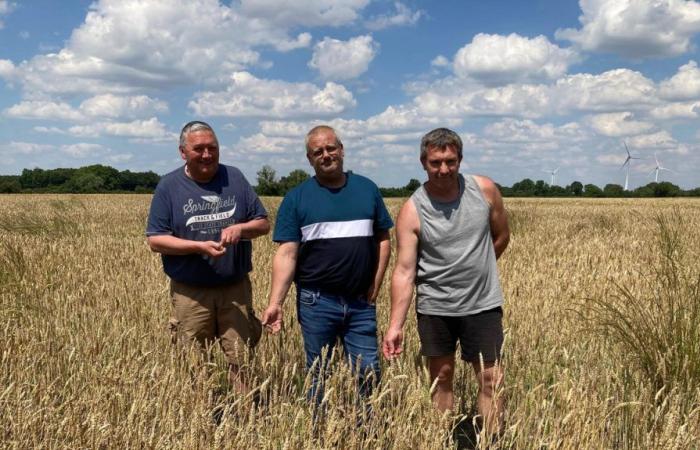 Verheerte Ernten in Vienne: Drei Bauern sagen aus