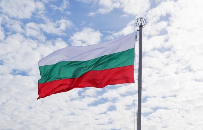 Bulgarien ist noch nicht vollständig bereit für die Umstellung auf den Euro