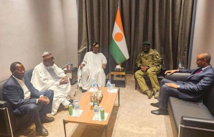 Vermittlung ehemaliger Präsidenten zur Entschärfung der Ölkrise mit Niger…