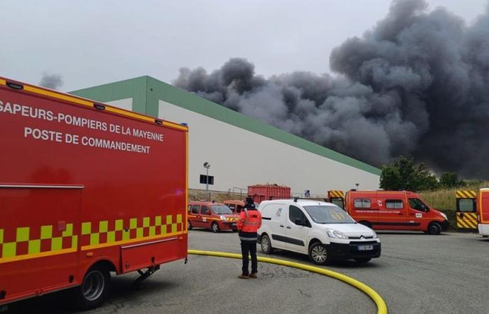 Brand bei der Firma Nortene in Mayenne: Rund fünfzig Mitarbeiter im Zwangsurlaub