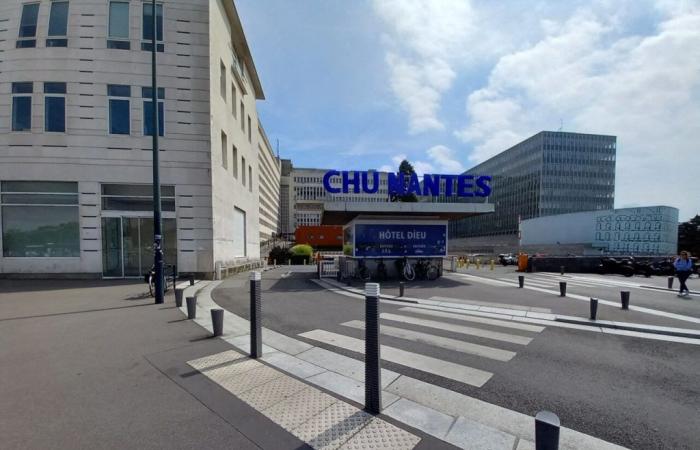 „Es ist windig“: Die neue Marke des Universitätsklinikums Nantes sorgt für Gänsehaut