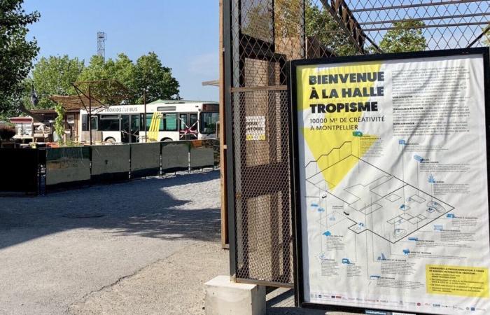 Montpellier: ein Solidaritätskonzert von „Pop Pop Pop“ zugunsten von Secours populaire