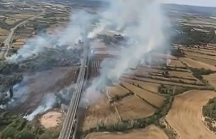 Katalonien: Der Bus fängt Feuer und setzt den benachbarten Wald in Brand, ein Campingplatz wird evakuiert und Hochgeschwindigkeitszüge werden unterbrochen