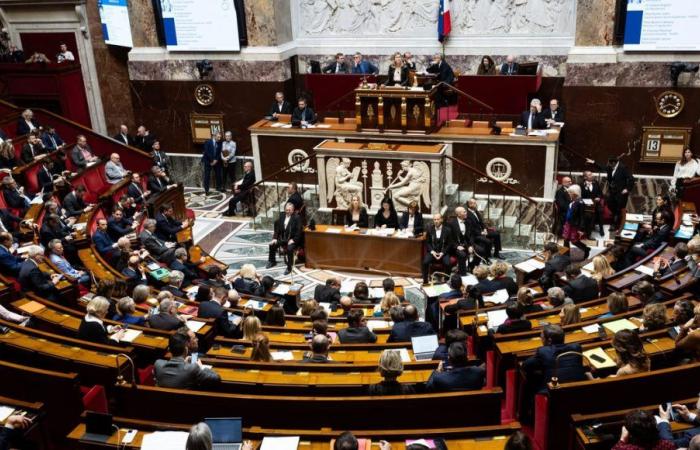 Parlamentswahlen in Isère: Kann Cyrielle Chatelain im zweiten Wahlkreis besorgt sein?