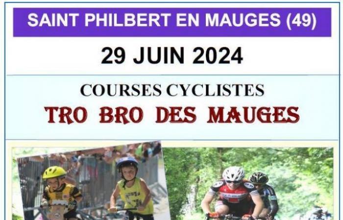 St. Philbert Tro Bro des Mauges 29. Juni 2024 Teilnehmer des Radrennens