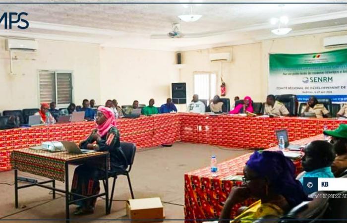 SENEGAL-UMWELT / Sédhiou: Auf dem Weg zur Entwicklung von zwei Wäldern und zur Schaffung von 15 einkommensschaffenden Projekten – senegalesische Presseagentur