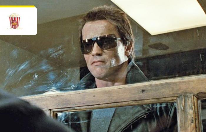 „Zusammenbrechende Dummheit“: Vor 39 Jahren kritisierte dieser berühmte französische Schauspieler Terminator – Cinema News