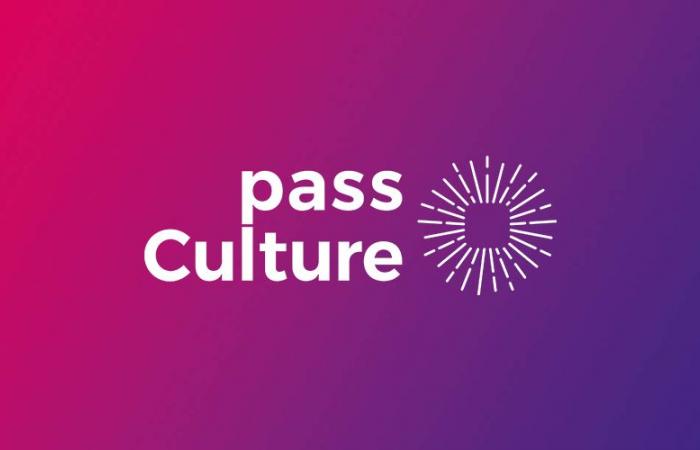 Pass Culture: Das Buch ist beliebt
