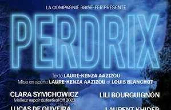 Avignon Off 2024: „Perdrix“, ein übernatürliches Roadmovie zum Erleben auf der Bühne des Au Palace Theaters