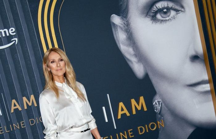 Céline-Dion-Fans sind erschüttert über das Leid ihres Idols