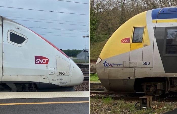 TER-TGV-Verbindung: David Marti bringt Pierre-Etienne Graffard in den Planvertrag ein