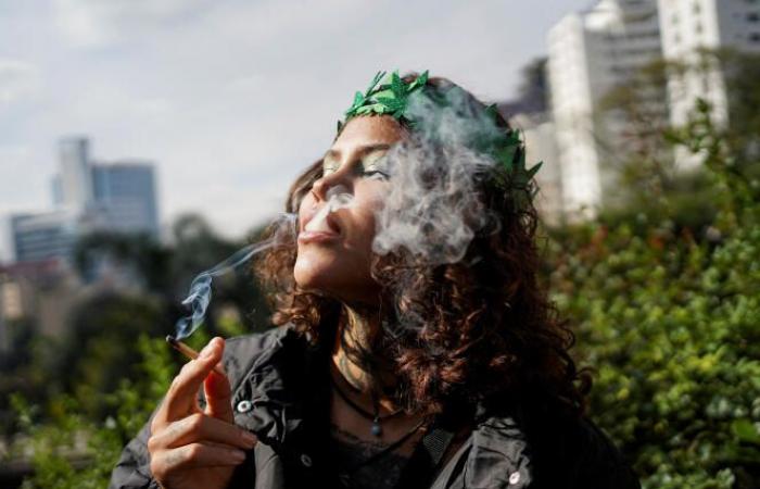 Brasilien entkriminalisiert den individuellen Besitz von Cannabis
