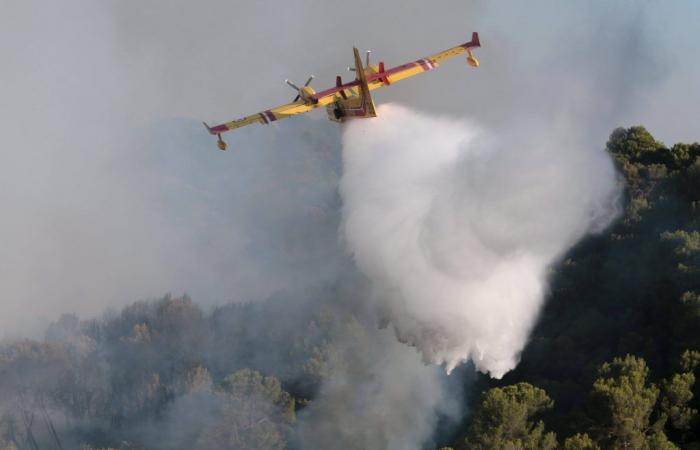 Warum können die zur Waldbrandbekämpfung eingesetzten Canadairs ihren Auftrag nicht mehr erfüllen? Wir erklären es Ihnen