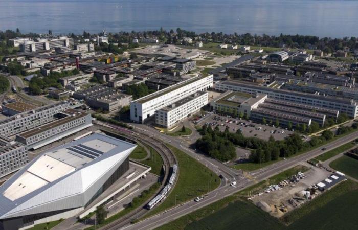 Die EPFL will ihren ökologischen Bauernhof in ein Zentrum für Grundlagenwissenschaften umwandeln – rts.ch