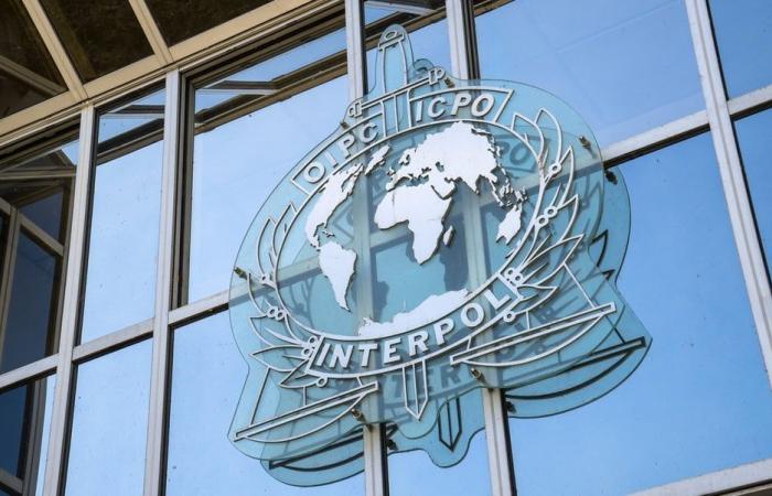 4.000 Festnahmen und 257 Millionen US-Dollar in 61 Ländern beschlagnahmt (Interpol)