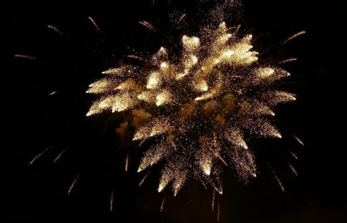 Nationalfeiertag in Conflans-Sainte-Honorine (78): Feuerwerk und Ball am 13. Juli 2024
