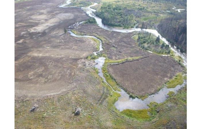 Mehr als 500.000 US-Dollar an Bußgeldern und Geländesanierungen beenden sechsjährige Untersuchung der großen Lebensraumzerstörung entlang der Flüsse Chilcotin und Kleena (Kleene English).
