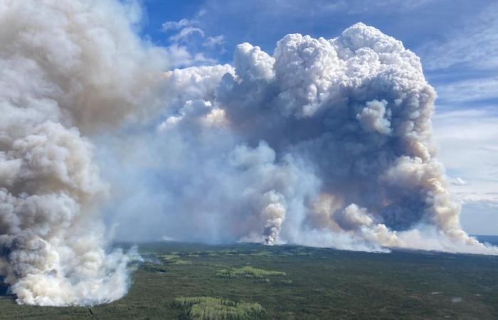 Waldbrände in British Columbia: Nasses Wetter lindert Ängste in Fort Nelson
