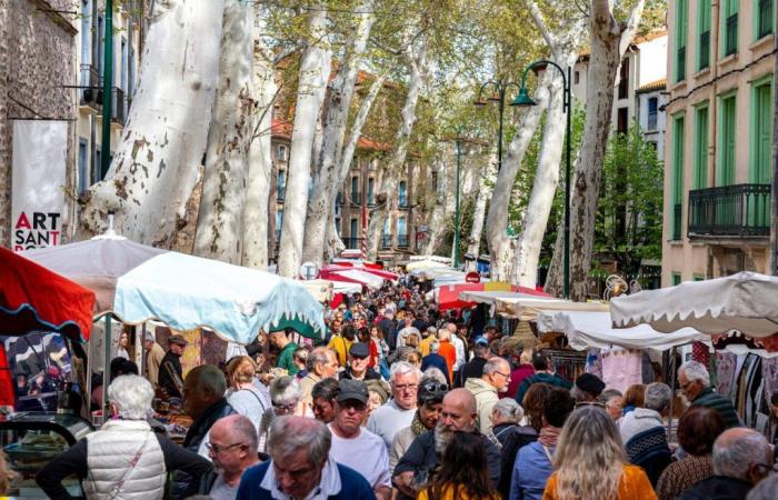 Schönster Markt Frankreichs: Entdecken Sie die Rangliste dieses berühmten Marktes in den Pyrénées-Orientales