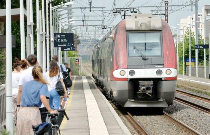 Das Verkehrsministerium zertifiziert das Projekt des regionalen Expressdienstes Montpellier… Wirklich gute Nachrichten?