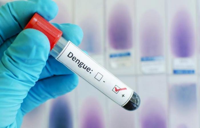 In Guadeloupe ist die Verbreitung von Dengue-Fieber immer noch aktiv
