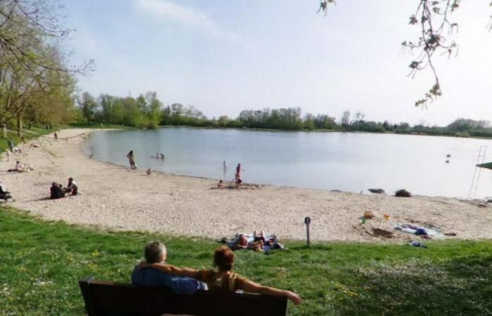 Das regionale Gesundheitsamt rät vom Schwimmen in diesem Gewässer im Bas-Rhin ab