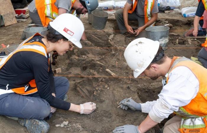 Wahrscheinliche Knochen britischer Soldaten, die bei Ausgrabungen in Quebec gefunden wurden
