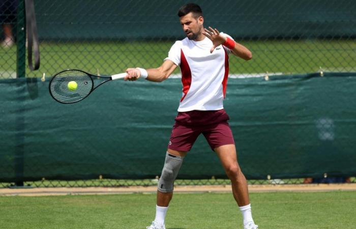 Tennis, Wimbledon – Drei Wochen nach seiner Operation konnte Novak Djokovic „ohne Schmerzen“ spielen
