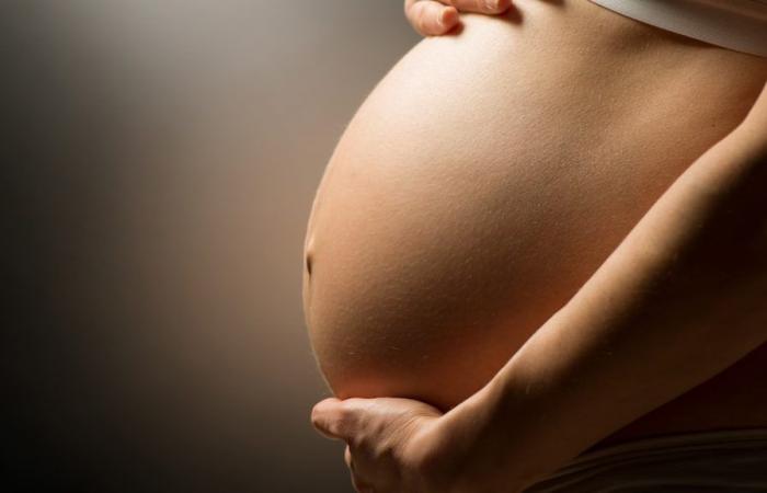 Leihmutter aus New Brunswick: Das Familienprojekt eines Paares ist durch die neuen Regeln bedroht