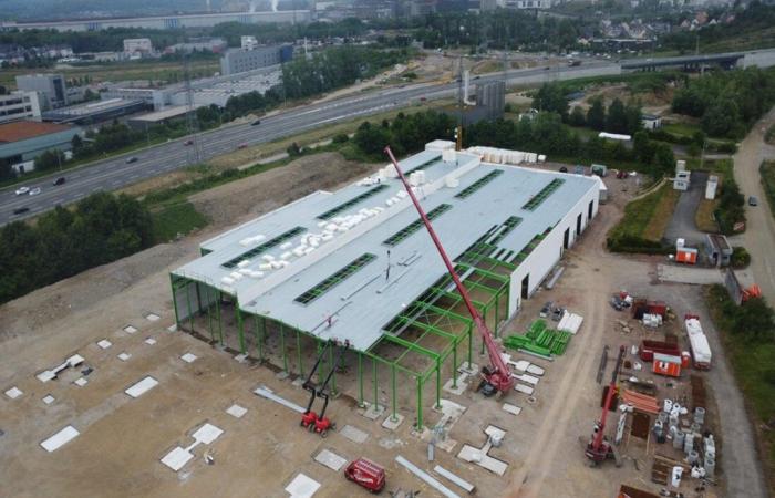 Luxemburg. Dieses Unternehmen baut eine Fabrik in der Nähe von Lothringen: 100 Arbeitsplätze geplant
