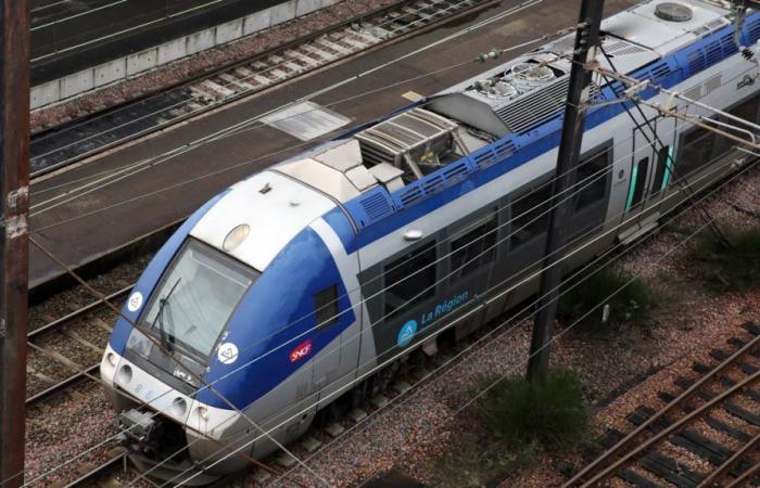 60 zusätzliche Züge im Jahr 2025 mit der Metropolregion RER