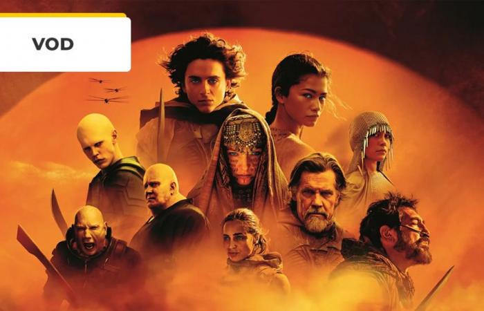Dune: Part Two, ein musikalisches und inspirierendes Biopic … Diesen Sommer können die besten Filme auf VOD (wieder)entdeckt werden! – Kinonachrichten