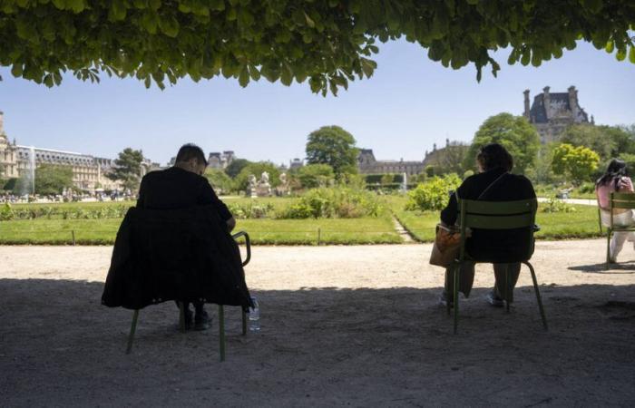 Hitze, Dürre und stellenweise Instabilität … Météo-France liefert seine Prognosen für diesen Sommer – Libération
